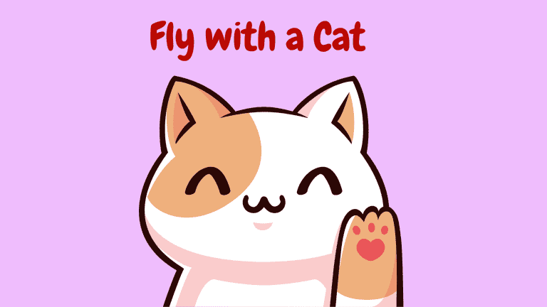 Fly with a Cat